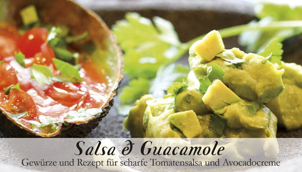 Salsa & Guacamole - Soulfood Gewürzkasten